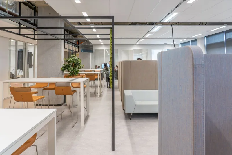 When Square Footage Signals Power: The Real Cost of Hierarchical Office Layouts on Organizational Performance